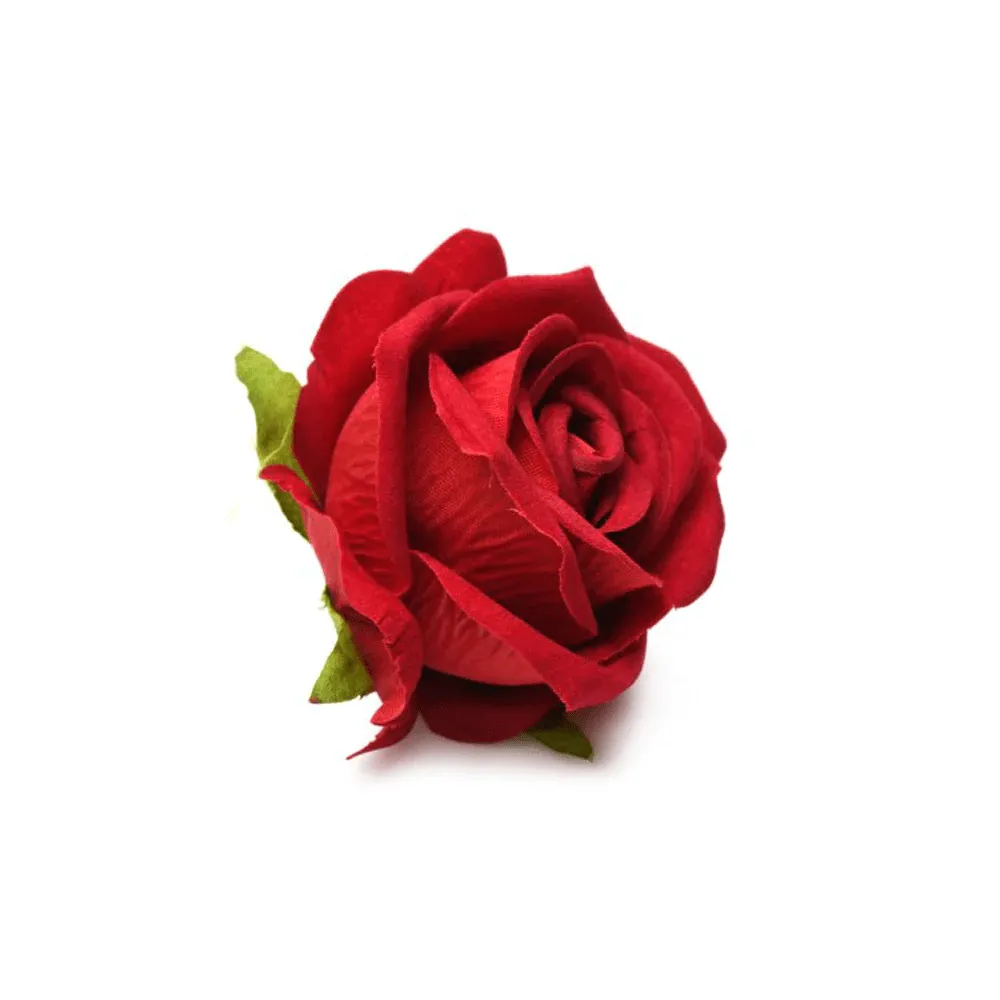Bloomgasm Rose Lover's Gift Box