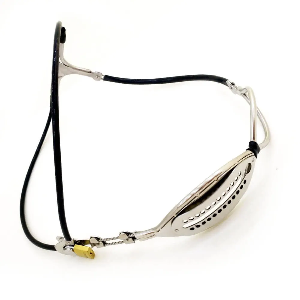 Metal Silicone Chastity Belt Underwear Cbt For Women