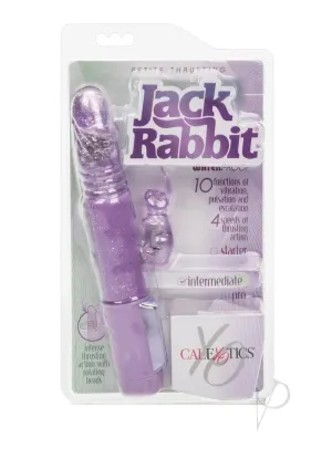 Petite Thrusting Jack Rabbit Purple